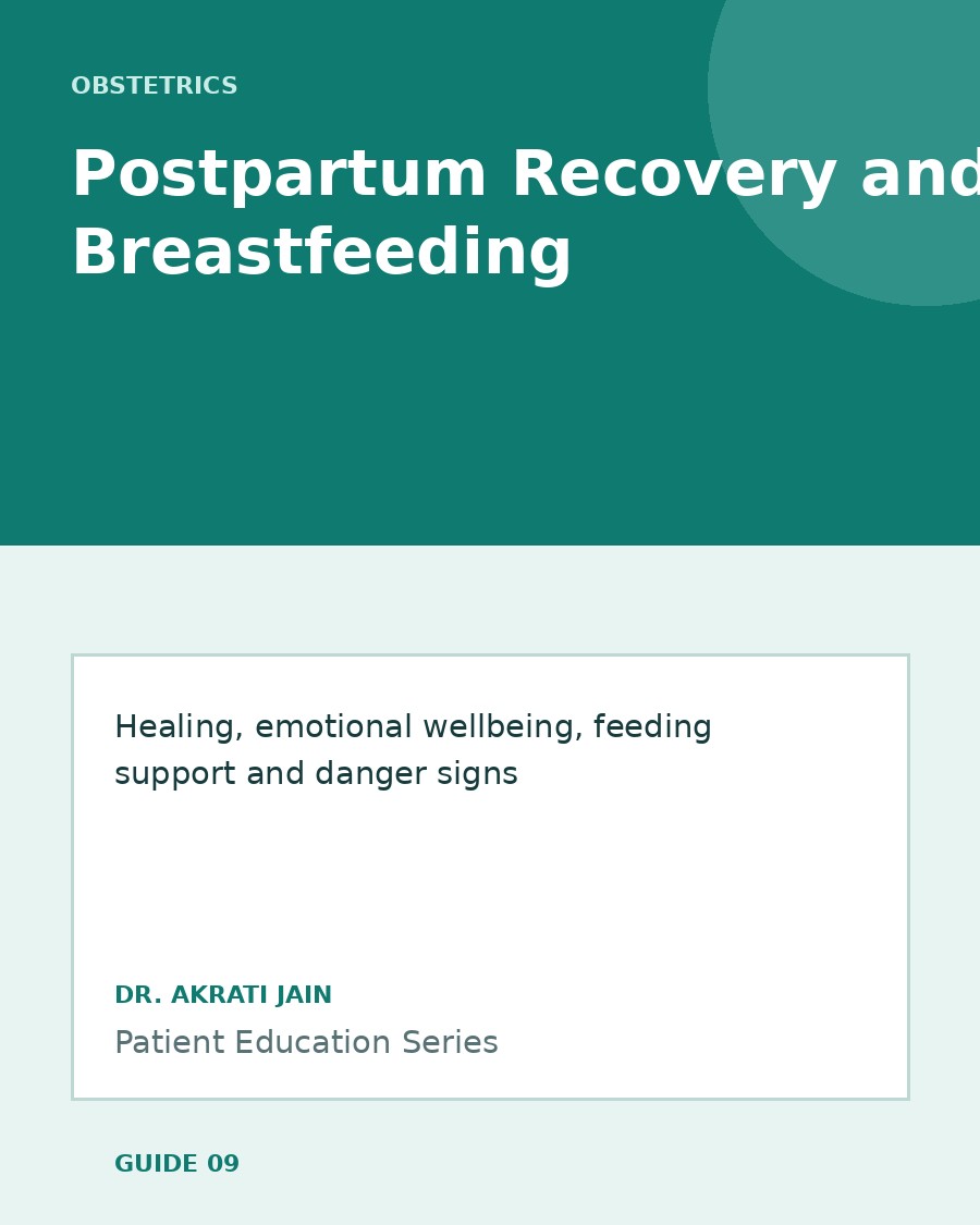 Cover of Postpartum Recovery and Breastfeeding